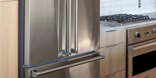 The Merian Gallery 71