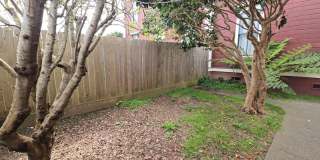 626 O St. [PRM: Andrew] Gallery 13