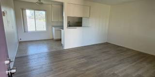 3398 Armada Drive - 06 Gallery 3