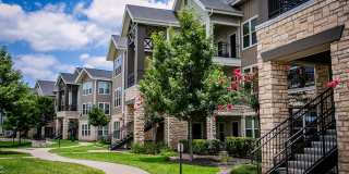 Aliso Briar Forest Gallery 9