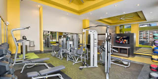 AMLI Buckhead Gallery 14