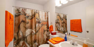 Icon on Pima Gallery 19