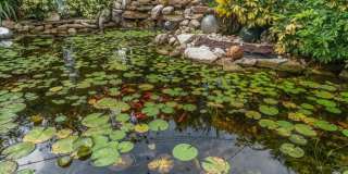 2390 SHERIDAN Road Gallery 33