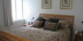 4586 Trawler Ct Gallery 13