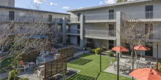 Icon on Central Gallery 24