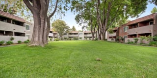 Glen Oaks Gallery 10