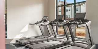 Vintage Johnson City Gallery 16