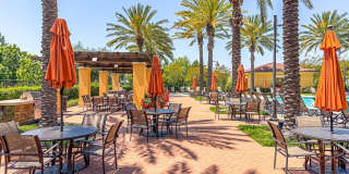 77 Stagecoach Gallery 47