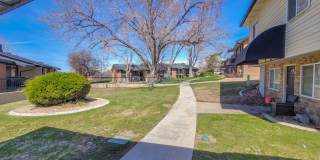 Orchard Gardens  (OG) Gallery 23