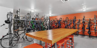 Eleanor Eleanor Gallery 11