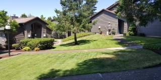 9420 SW 146th Terrace#P6 Gallery 16