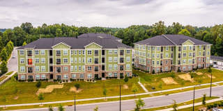 Foxwood Gallery 196