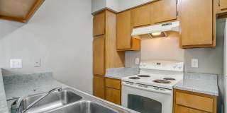 Laurel Grove Gallery 22