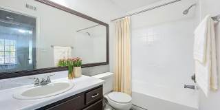 Millenium Cove Gallery 6