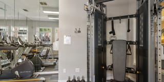 Gables CityWalk Waterford Square Gallery 16