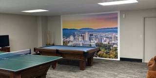 Zions Summit Gallery 13
