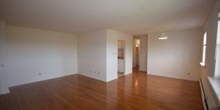 Graduate and Professional Gallery 84