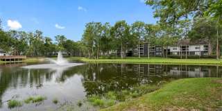 Lake Forest Gallery 25