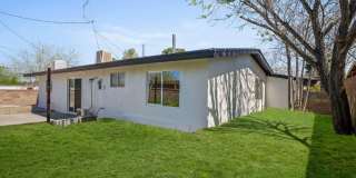 44715 Gingham Avenue Gallery 19