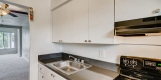 Spectra at Plantation Gallery 16