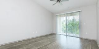 RIZE at Winter Springs Gallery 86