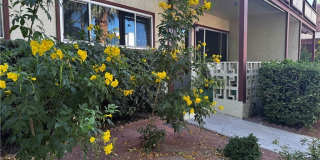 350 E Desert Inn Road Gallery 1
