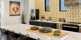Meritum Sonoran Desert Gallery 32