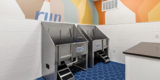 Korina and Alder at The Grove Korina and Alder at The Grove Gallery 54