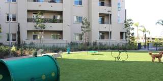 Casa Mira View Gallery 93
