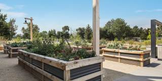 Weathervane Gallery 21