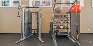 Emblem Renata Gallery 21