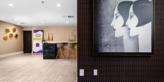 The Preston Miracle Mile Gallery 26