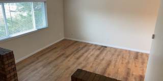 Spacious West-Side Tri-Level Home Gallery 18