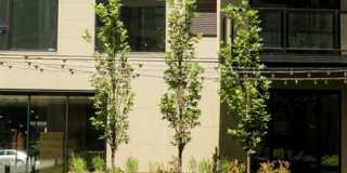 Viridium Apartments Gallery 59