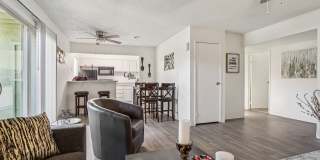 Sahara and Playa Palms Apartments Gallery 3