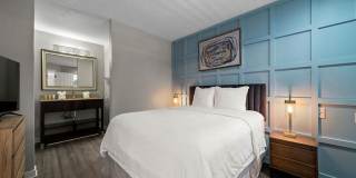 505 Collection Gallery 19