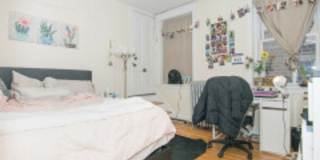 AMAZING BROOKLINE 3 BED!!!! Gallery 5