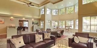 Arbor Square Gallery 3