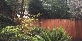 Near Alamo Square Park - 1 bedroom plus extra room - split bathroom  - Shared yard and shared coin-op washer/dryer Gallery 1
