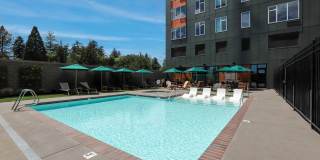 Montage Apartments Gallery 39