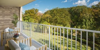 The Metropolitan of Baltimore Gallery 10