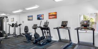 Boca Arbor Club Gallery 67