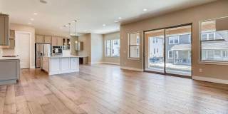4 bedroom luxury home in Anthem 4 bedroom luxury home in Anthem Gallery 9