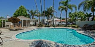 Bright & Spacious, 4BR3BA Home in the Private, Gated Community w/ 2 Pools, Clubhouse, Playground & Greenbelts Close to Everything! Bright & Spacious, 4BR3BA Home in the Private, Gated Community w/ 2 Pools, Clubhouse, Playground & Greenbelts Close to Everything! Gallery 8