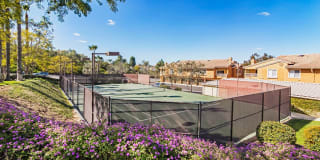 Sofi Canyon Hills Gallery 27