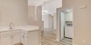 1331 Frost Flower Drive Gallery 9
