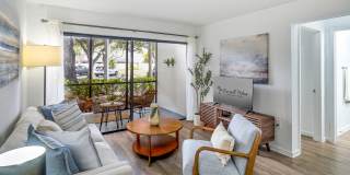 Emerald Palms Gallery 9