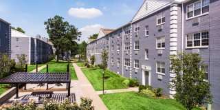 Chestnut Hill Village Gallery 14