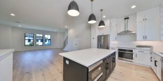 Gorgeous 4/3.5 Custom 3 Story Townhome Gallery 6