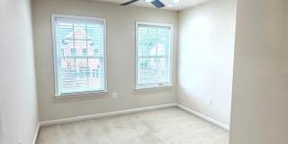 47574 ROYAL BURNHAM Terrace Gallery 32